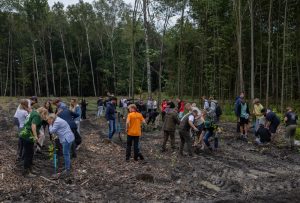 160 drzew na 160-lecie Katowic – miasto świętuje zielonym akcentem