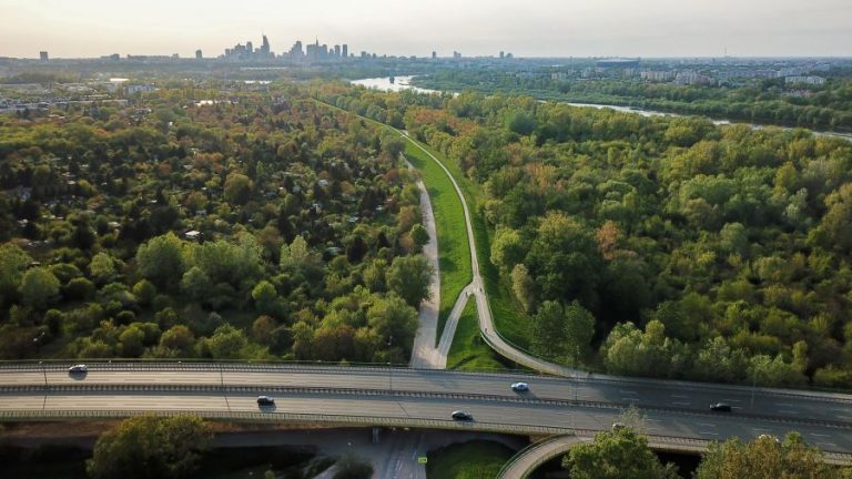 Nowa koncepcja zagospodarowania wód w Łuku Siekierkowskim