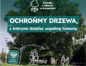 „Pomniki z historią w korzeniach” – Wrocław zachęca mieszkańców do zgłaszania drzew-pomników