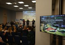 Zieleń to zawsze dobry plan na lepsze miasto