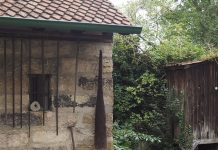 Żywa lekcja ogrodnictwa w Bamberskim Muzeum Ogrodników i Winiarzy