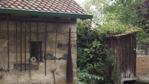 Żywa lekcja ogrodnictwa w Bamberskim Muzeum Ogrodników i Winiarzy