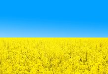 Ukraiński biogaz kwitnie w cieniu wojny