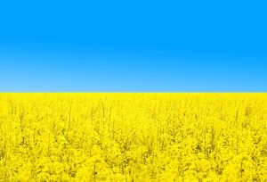 Ukraiński biogaz kwitnie w cieniu wojny