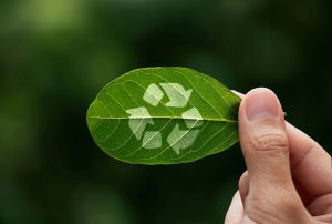 System kaucyjny a gospodarka odpadami. Dlaczego same kaucje nie wystarczą?