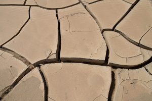 Raport: uzależnienie od paliw kopalnych odbija się na zdrowiu i życiu ludzi