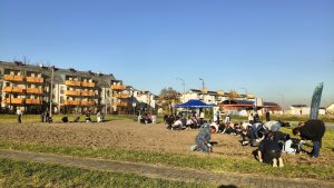 Nowe łąki kwietne w Gliwicach – Łabędy i Obrońców Pokoju w barwach natury