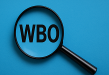 Wrocław kieruje sprawę do prokuratury po wykryciu nieprawidłowości w głosowaniu WBO