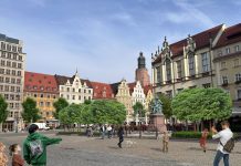 Zielona rewolucja na wrocławskim Rynku. Miasto posadzi ponad 100 drzew