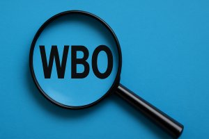 Wrocław kieruje sprawę do prokuratury po wykryciu nieprawidłowości w głosowaniu WBO