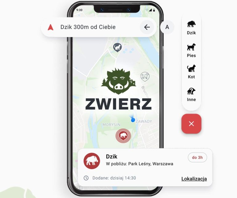 Zwierz – aplikacja, która ostrzega przed dzikami i pomaga odnaleźć zagubione zwierzaki