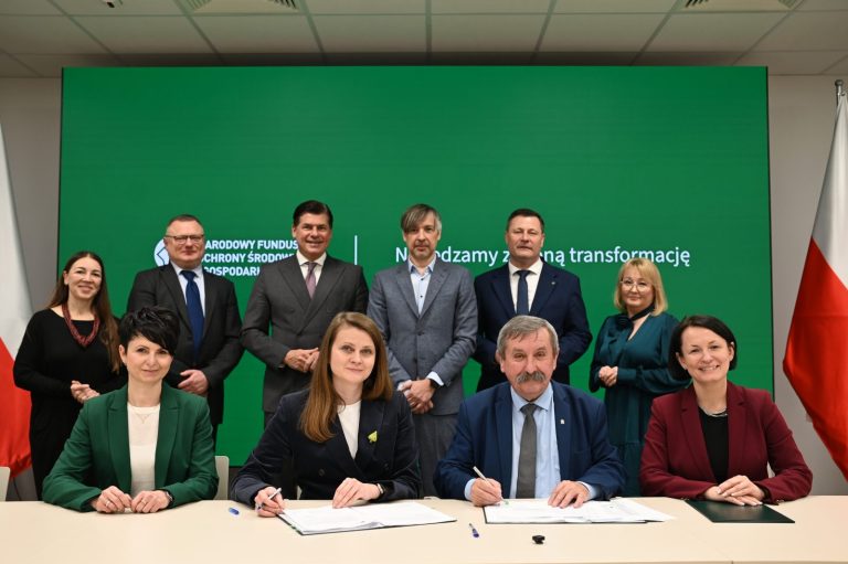 Enea Operator dostanie ponad 1 mld zł z NFOŚiGW na rozbudowę sieci. Ma obsługiwać OZE