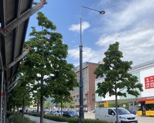 Lokator z problemami, o których wciąż nie chcemy słyszeć
