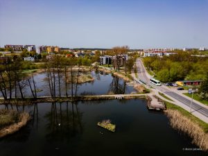 Białystok chroni zielone zaplecze miasta. Powstał użytek ekologiczny „Stawy Marczukowskie i Dolina Bażantarki”
