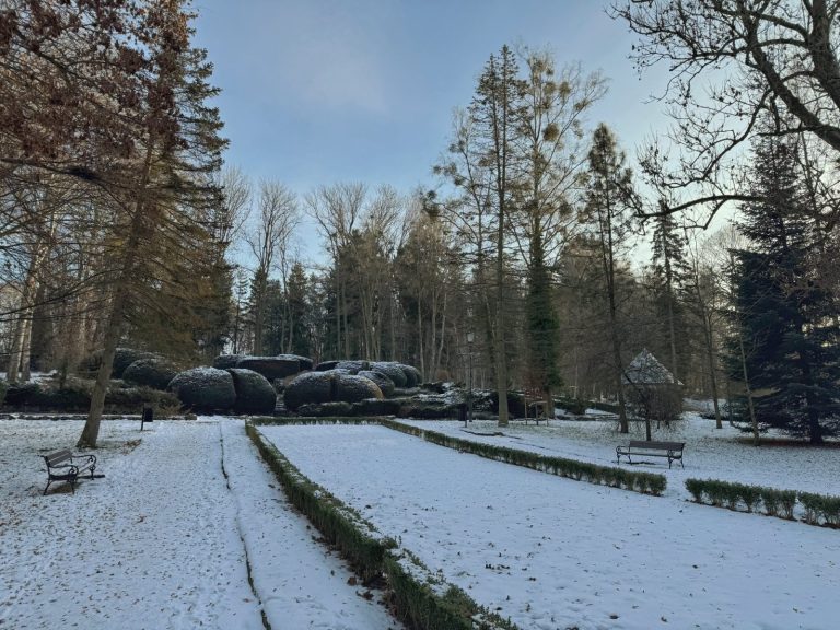 Połczyn-Zdrój rewitalizuje park zdrojowy. 4,5 mln zł na część francuską i angielską