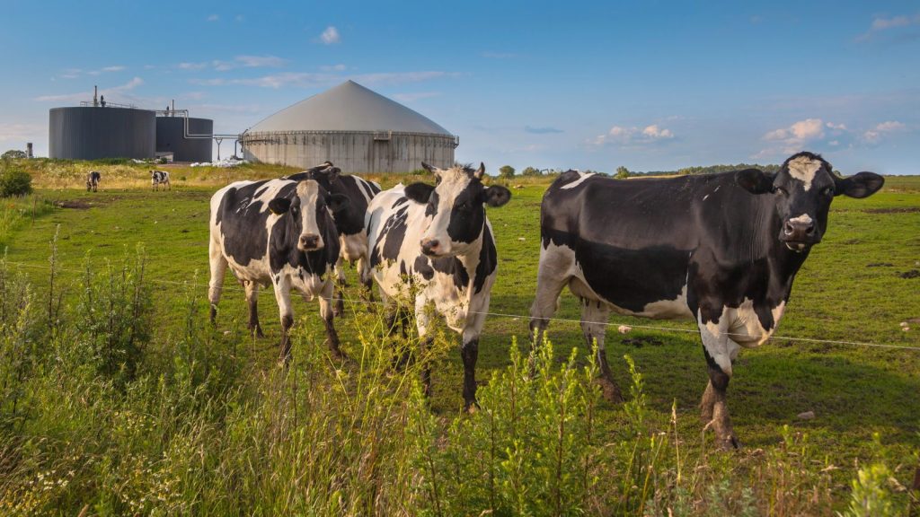Biogaz przyniesie oszczędności w Eko Dolinie?