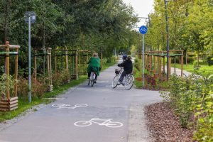 Rowerowy Wrocław w liczbach