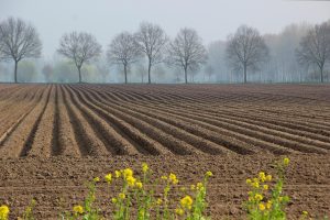 Poprawki do ustawy dot. wstrzymania sprzedaży państwowej ziemi