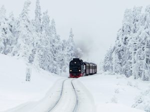 Odległość drzew od linii kolejowych zostanie wydłużona do 15 metrów