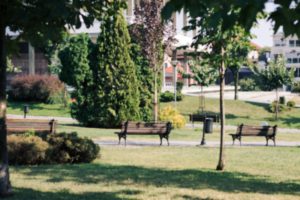 65 ha zieleni dla Wrocławia. Nowy park zamiast państwowych gruntów