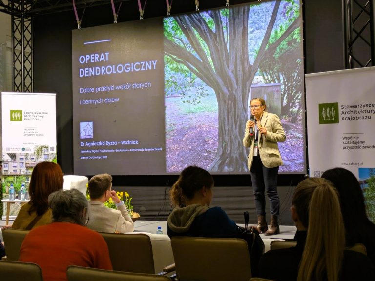 Operat dendrologiczny – kluczowe narzędzie ochrony starych i cennych drzew