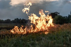 Dolny Śląsk w ogniu wypalanych traw. Strażacy interweniowali niemal 100 razy w dobę