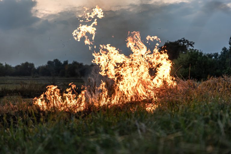 Dolny Śląsk w ogniu wypalanych traw. Strażacy interweniowali niemal 100 razy w dobę