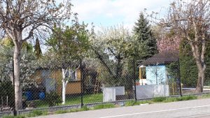 Gliwice wspierają ROD. Trwa nabór wniosków o dotacje na infrastrukturę