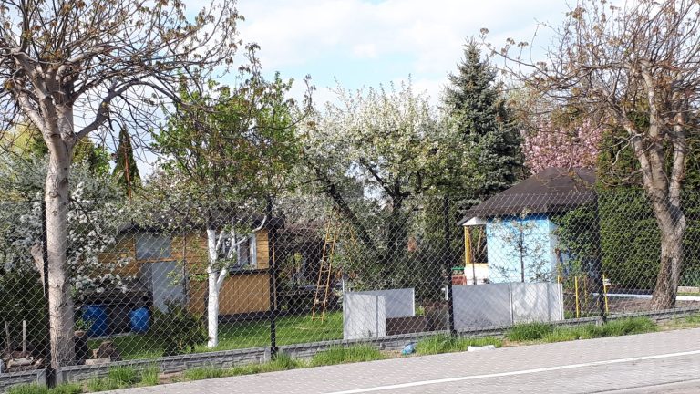 Gliwice wspierają ROD. Trwa nabór wniosków o dotacje na infrastrukturę