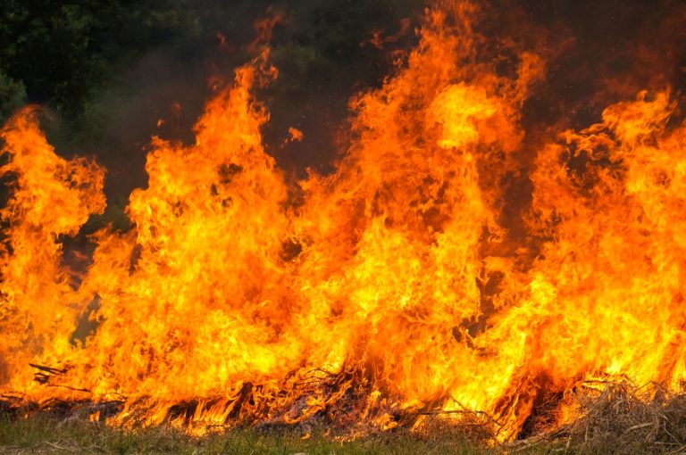 Wypalanie traw jest przyrodniczo destrukcyjne i oparte na mitach