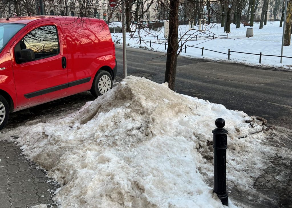 Susza fizjologiczna. Dlaczego brakuje wody, gdy jest jej pod dostatkiem?
