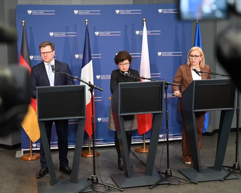 Hennig-Kloska: z systemu ETS nie da się jednostronnie wyjść, ale można i trzeba go zmienić