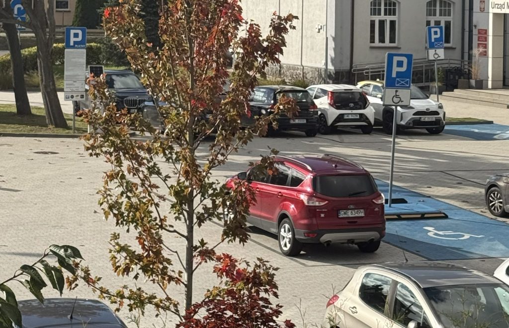 Głos architekta krajobrazu, ruch miasta
