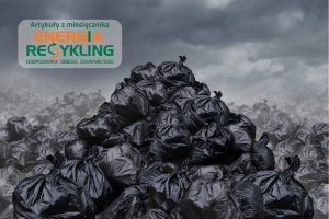 Dziś Dzień Recyklingu. Jak wyglądałby świat bez niego?