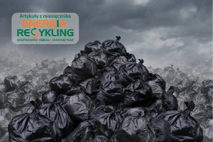 Dziś Dzień Recyklingu. Jak wyglądałby świat bez niego?