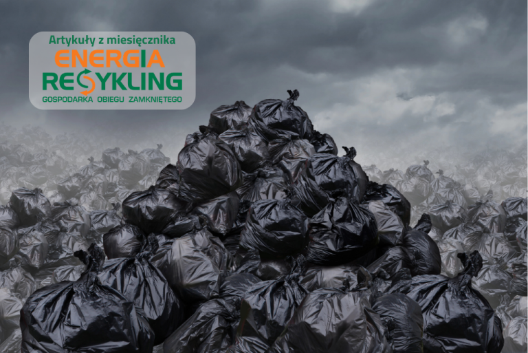 Dziś Dzień Recyklingu. Jak wyglądałby świat bez niego?