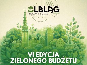 Zielony Budżet 2026 w Elblągu. Mieszkańcy znów zdecydują o zielonych zmianach w mieście