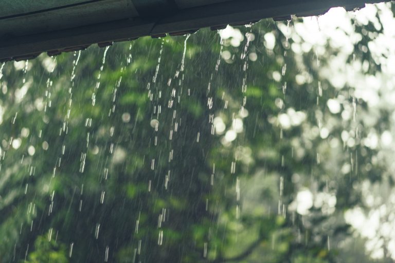 Nowe dotacje na deszczówkę – start już wkrótce