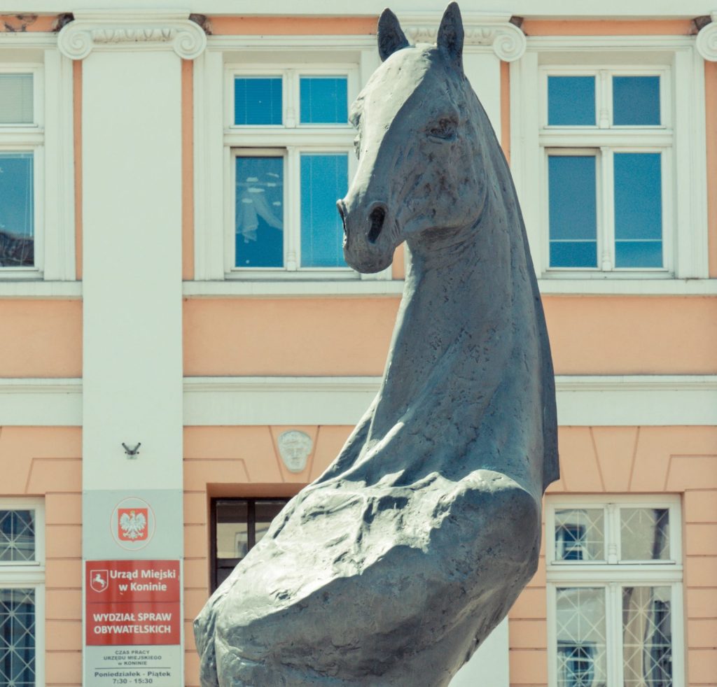Przegląd prawa