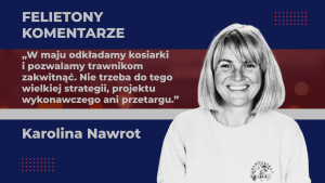 Miejski egzamin dojrzałości. Polski No Mow May, czyli czy potrafimy na trochę odłożyć kosiarki?
