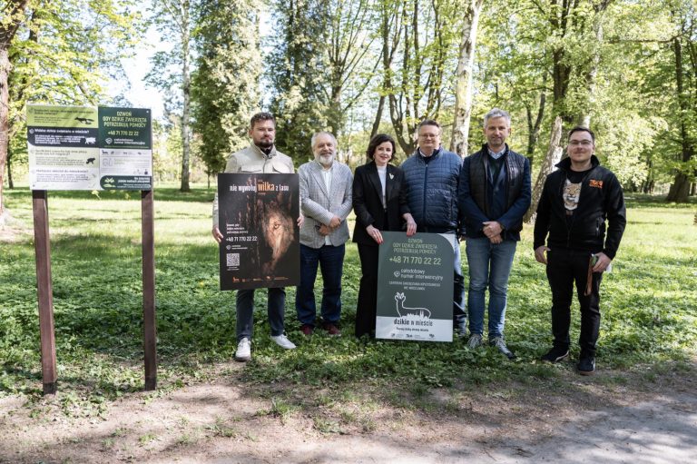 Nie wywołuj wilka z lasu. Wrocław rusza z drugą edycją kampanii „Dzikie w mieście”