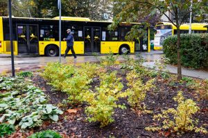 Mieszkańcy Katowic zgłosili ponad 520 pomysłów do Budżetu Obywatelskiego i Zielonego Budżetu