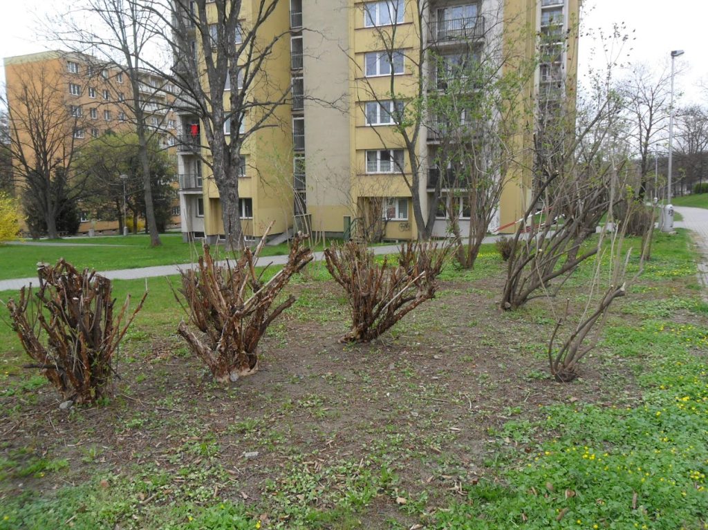 Usługa wykonana