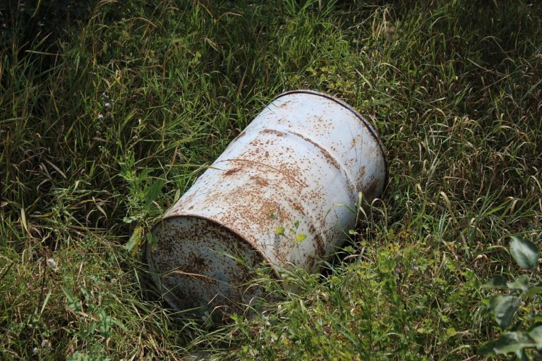 Poznań. Ponad 600 litrów porzuconych rozpuszczalników znaleziono w leśnictwie Mechowo
