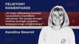 Miejski egzamin dojrzałości. Polski No Mow May, czyli czy potrafimy na trochę odłożyć kosiarki?