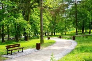 Park leśny u podnóża ruin zamku w Olsztynie po rewitalizacji