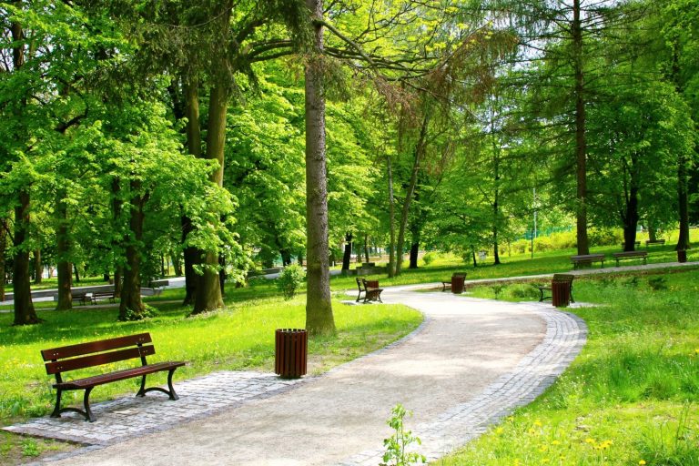 Park leśny u podnóża ruin zamku w Olsztynie po rewitalizacji