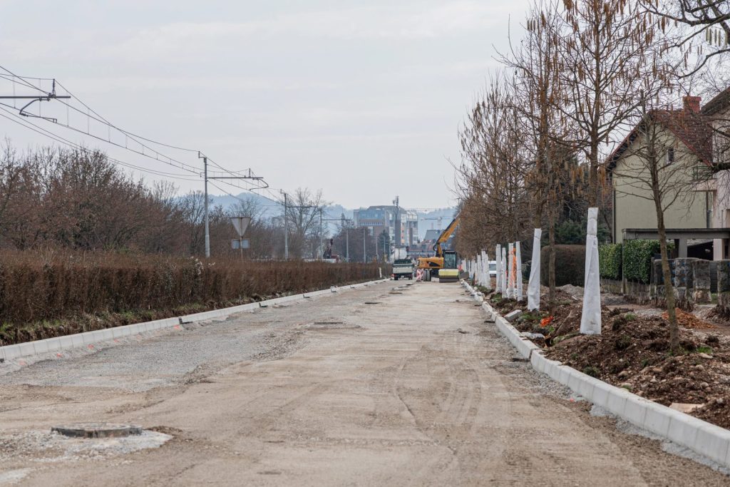 Odpowiedzialność za zniszczenie drzew