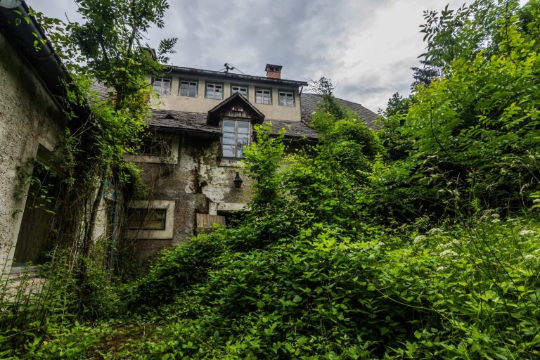 Czwarta przyroda w mieście