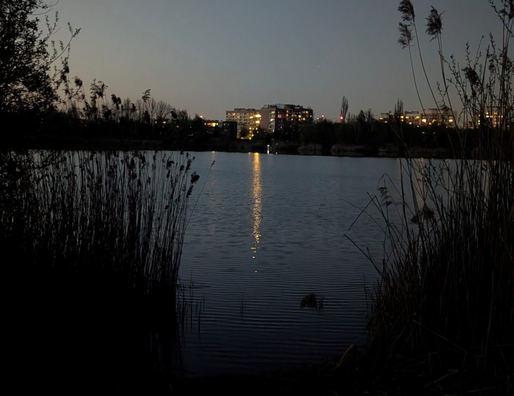 Rozwój (nie)zrównoważony